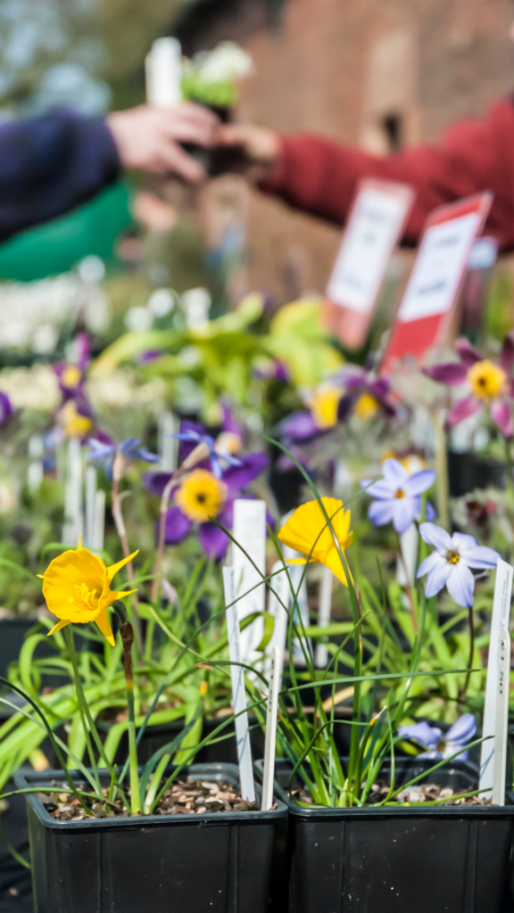 plant sale